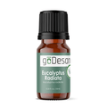 Eucalyptus Radiata Essential Oil