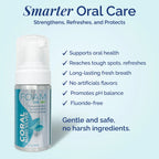 Foaming Toothpaste Travel Bundle