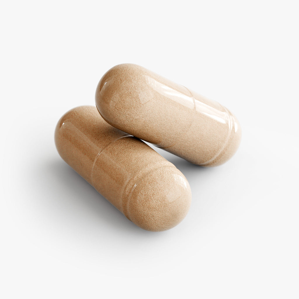 Vital Mushroom Complex Blend|Immune & Focus Support Capsules | 60 Count