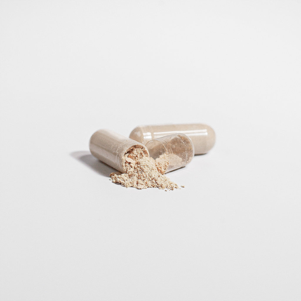 Premium Lion's Mane Mushroom | Vegan Capsules | 60 Count